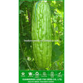 NBG02 Kugua high quality hybrid bitter gourd seeds bottle gourd seed